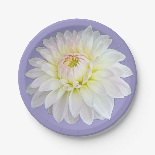 White and yellow flower paper plate (Front)