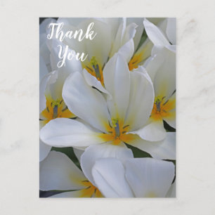 White and Yellow Flowers Thank You Postcard