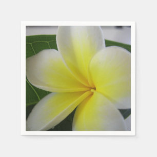 White And Yellow Frangipani Flower Napkin