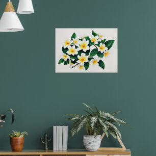 White and Yellow Frangipani Watercolor Flower Poster