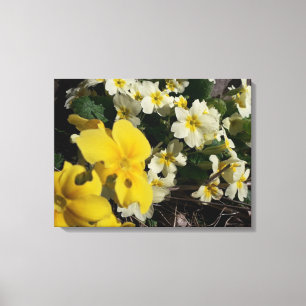 White and yellow garden flowers canvas print