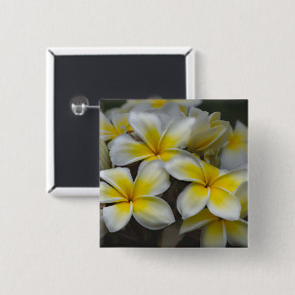 White and Yellow Plumeria Tropical Flower 15 Cm Square Badge