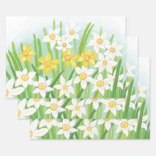 White and Yellow Spring Daffodils  Wrapping Paper Sheet