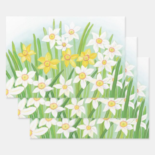 White and Yellow Spring Daffodils  Wrapping Paper Sheet (Set)