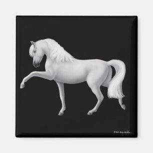 White Andalusian Horse Magnet