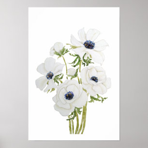 white anemone flower watercolor painting poster
