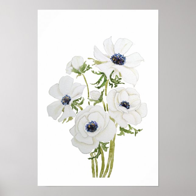 white anemone flower  watercolor painting  poster (Front)