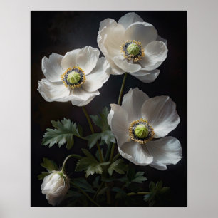 White Anemone Flowers Art Print Poster