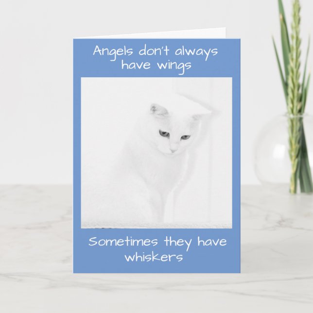 White Angel Cat Offers Sympathy Card (Front)