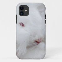 White Angora Rabbit