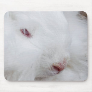 White Angora Rabbit Mouse Mat