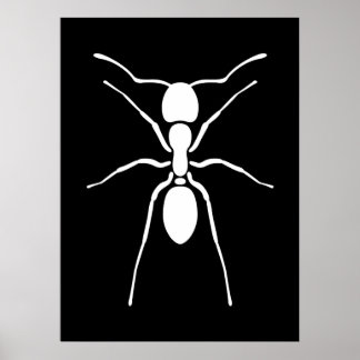 White Ant Poster