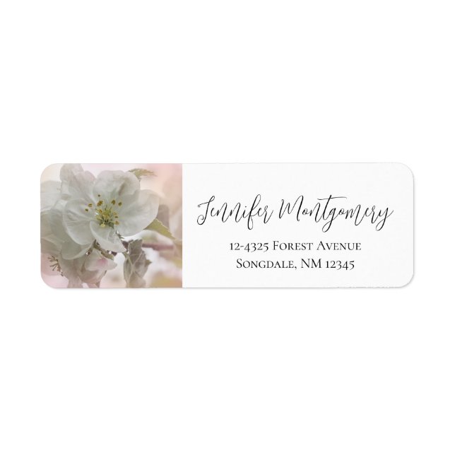 White Apple Blossom Photograph (Front)