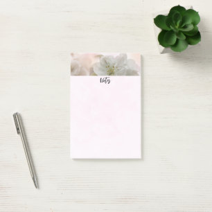 White Apple Blossom Photograph Post-it Notes