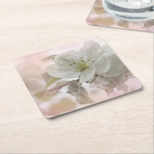 White Apple Blossom Photograph Square Paper Coaster