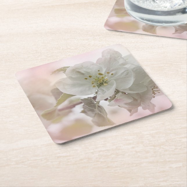  White Apple Blossom Photograph Square Paper Coaster (Angled)