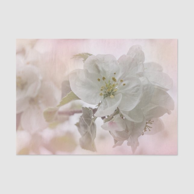 White Apple Blossom Photograph Tissue Paper (Front)
