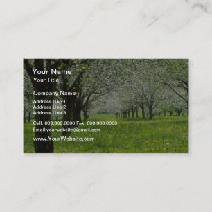 white Apple trees in the spring flowers Business Card