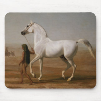 White Arab stallion Mouse Mat