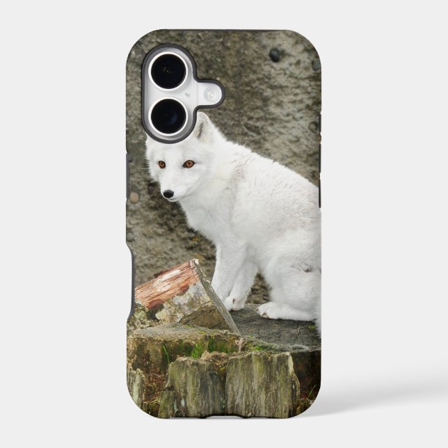 White arctic fox (Back)