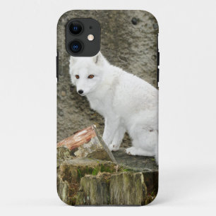 White arctic fox iPhone 11 case