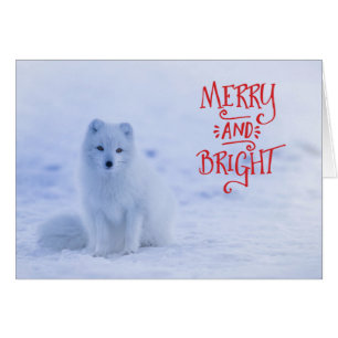 White Arctic Fox Christmas Card