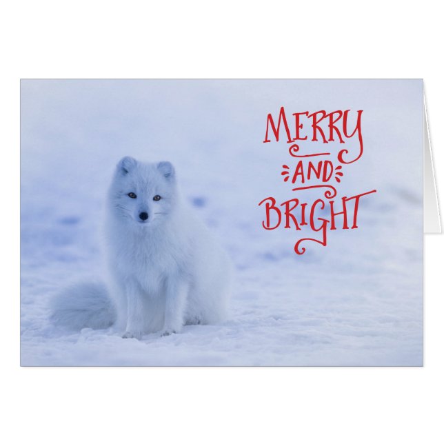 White Arctic Fox Christmas Card (Front Horizontal)