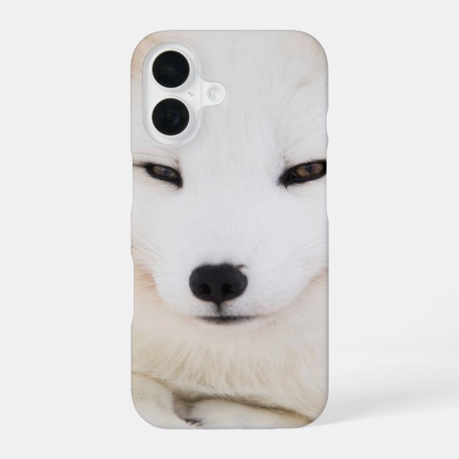 White arctic fox iPhone 16 case (Back)