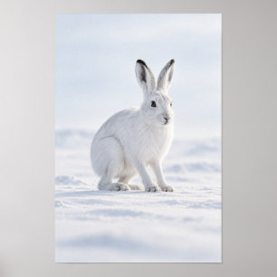 White Arctic Hare in Snowy Tundra Wildlife Wall Ar Poster