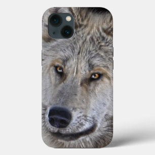 White Arctic Wolf Face Wildlife Portrait iPhone 13 Case