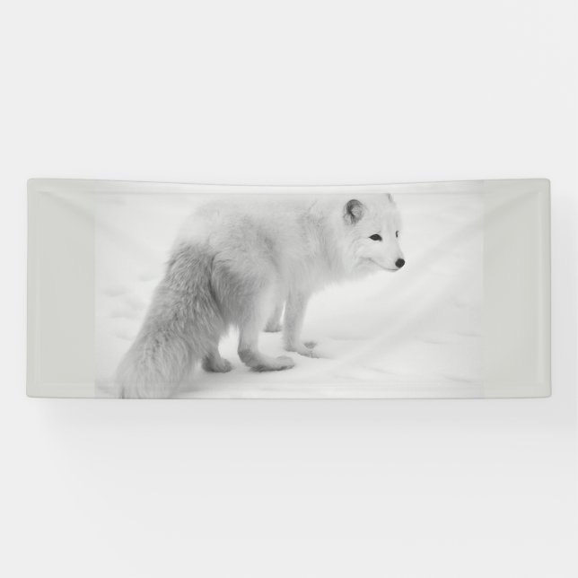 WHITE ARTIC FOX 2.5 X 6 Banner (Horizontal)