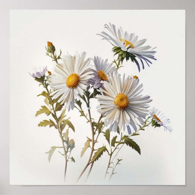 White Aster Flower Art Print Poster (Front)