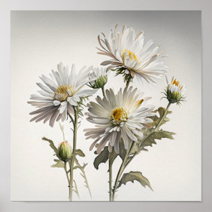 White Aster Flower Art Print Poster