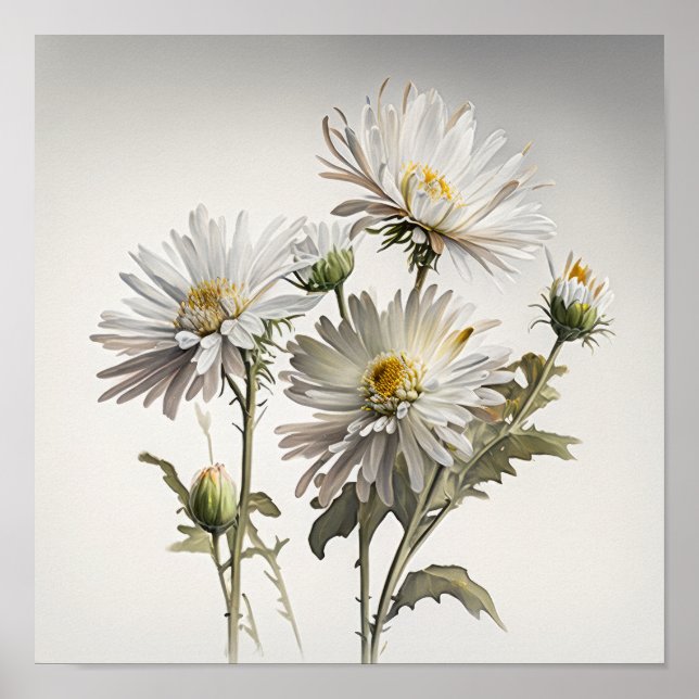 White Aster Flower Art Print Poster (Front)