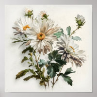 White Aster Flower Art Print Poster
