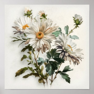 White Aster Flower Art Print Poster