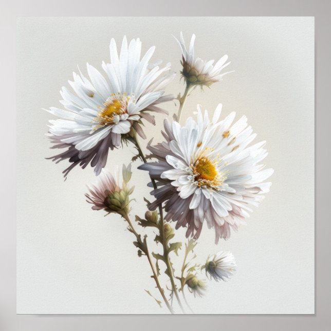 White Aster Flower Art Print Poster (Front)