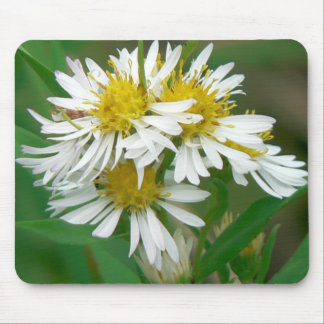 White Asters Mousepad