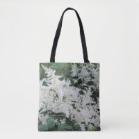 White Astilbe Cold Weather Perennial