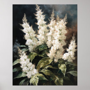 White Astilbe Flowers Art Print Poster