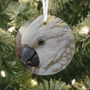 White Australian Cockatoo Parrot, Glass Tree Decoration