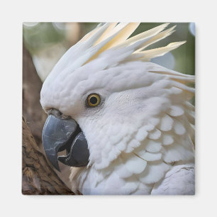 White Australian Cockatoo Parrot, Magnet