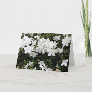 White Azalea Floral Greeting Card