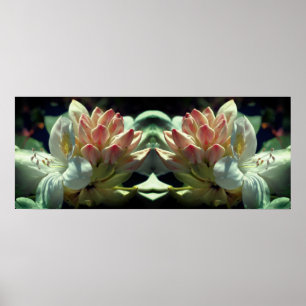 White Azalea Flower And Bud Mirror Abstract Poster