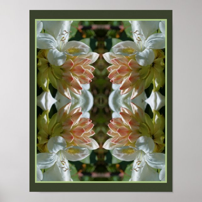 White Azalea Flower Blossom And Bud Abstract  Poster (Front)