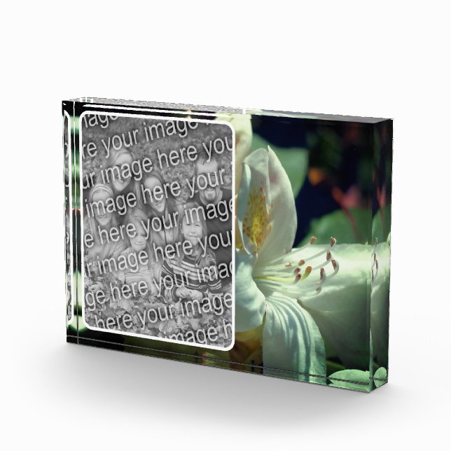 White Azalea Flower Create Your Own  Photo Block (Right)