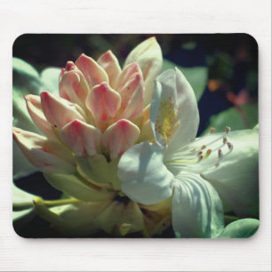 White Azalea Flower  Mouse Mat