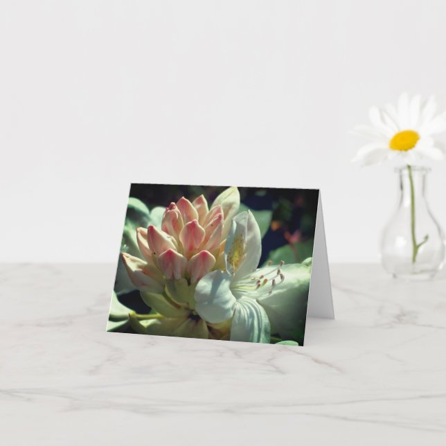 White Azalea Flower Personalised Note Card (Small Plant)