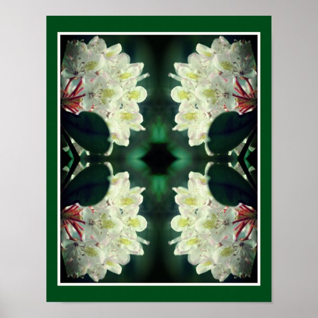 White Azalea Flower With Raindrops Abstract Poster (Front)