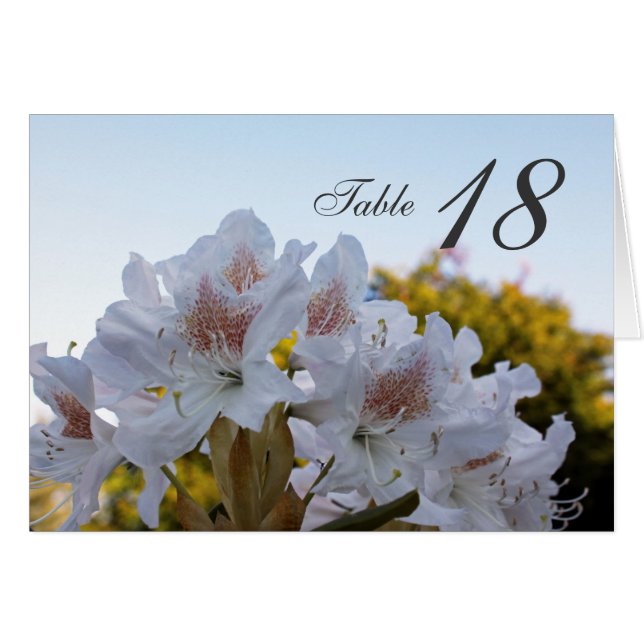 white azalea flowers dinner table number card (Front Horizontal)